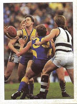 1992 Select AFL Stickers #256 Don Pyke / Steven Hocking Front